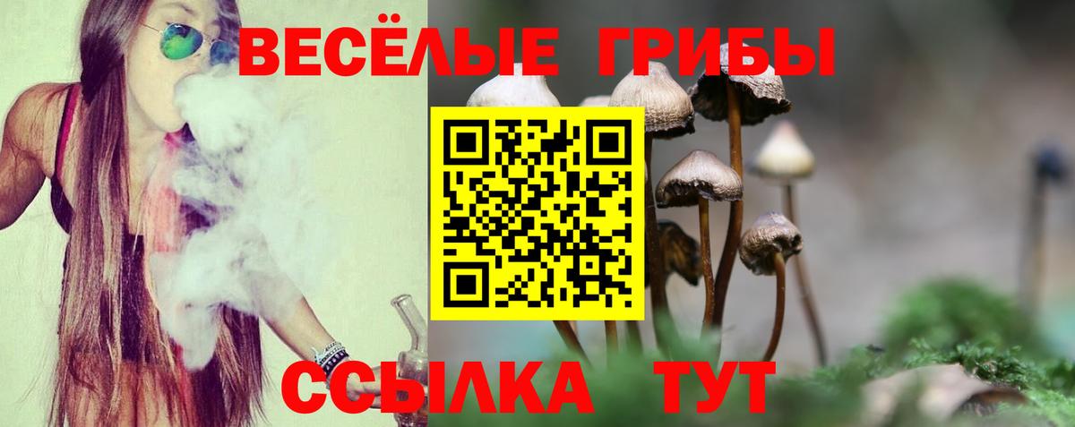 Киселёвск  Псилоцибиновые грибы Psilocybine cubensis  Вход с VPN  Галлюциногенные грибы Psilocybe 